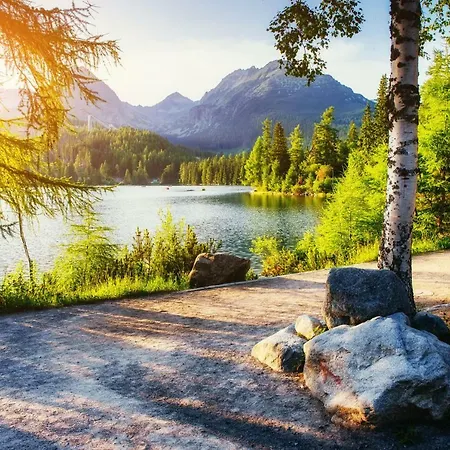 401 - S Apartmanmi Crocus . Apartment Strbske Pleso
