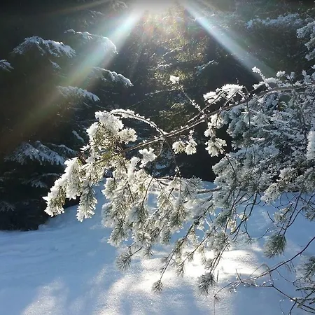 Apartment 401 - S Apartmanmi Crocus . *