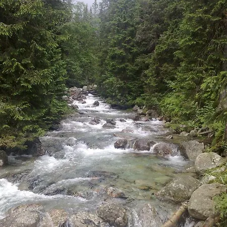 401 - S Apartmánmi Crocus . * Štrbské Pleso