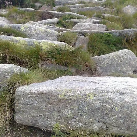 401 - S Apartmanmi Crocus .