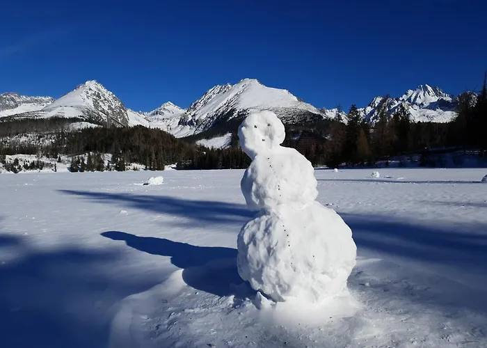 401 - S Apartmanmi Crocus . *