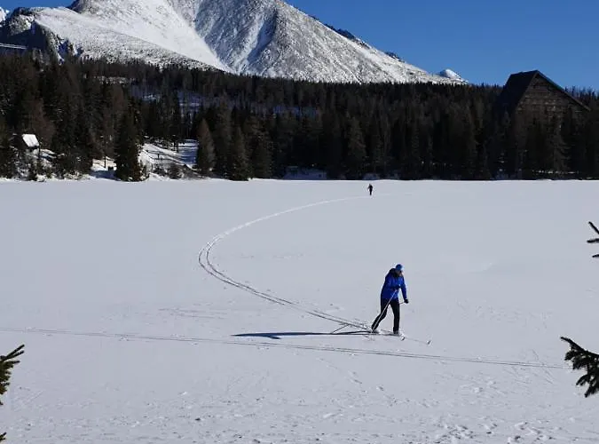 401 - S Apartmanmi Crocus . Lejlighed Štrbské Pleso
