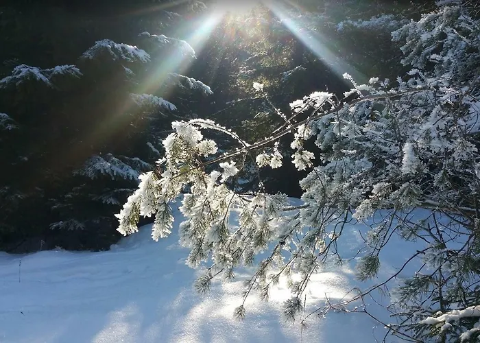 Lejlighed 401 - S Apartmanmi Crocus . *