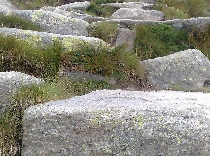 401 - S Apartmanmi Crocus .