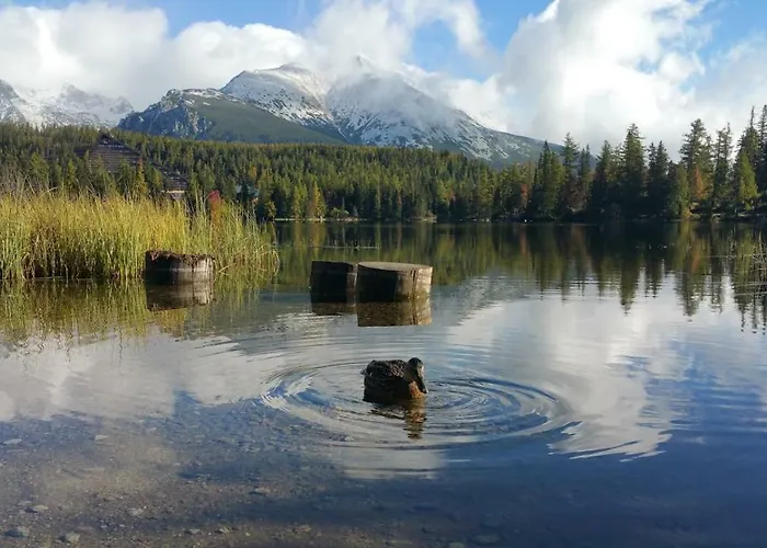 Lejlighed 401 - S Apartmanmi Crocus . Štrbské Pleso